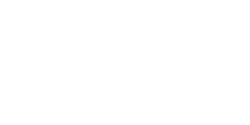 9Zebra_250